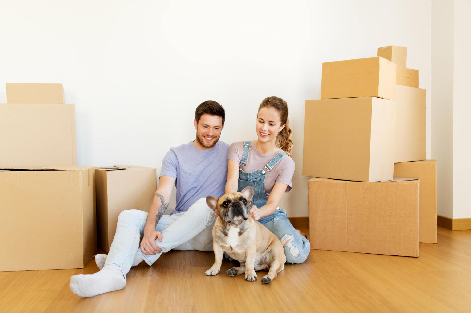 Pros And Cons Of Allowing Pets In Your Rockland County, NY, Rental Property